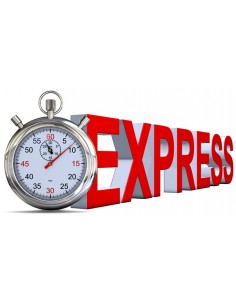 TRANSPORT EXPRESS TOP24