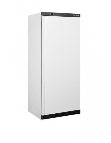 Réfrigérateur professionnel UR600
