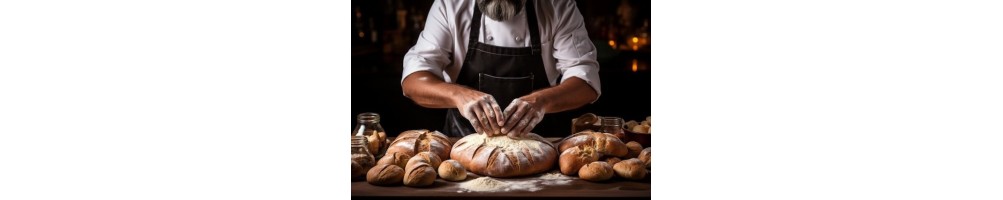 Matériel Frigorifique Boulangerie & Pâtisserie – Vitrines & Armoires | PROCOLD